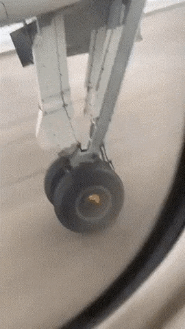 A big whoops in wtf gifs