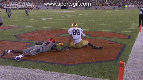 Notre Dame Football GIF - Find & Share on GIPHY