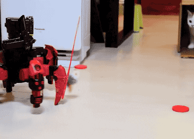 animated cat toy