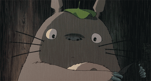 anime what confused blink totoro