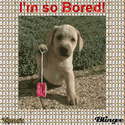 Im Bored GIFs - Find & Share on GIPHY