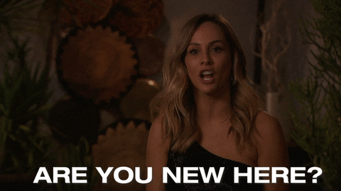 Bachelorette 16 - Clare Crawley & Tayshia Adams - Oct 27th - *Sleuthing Spoilers* - Page 7 Giphy