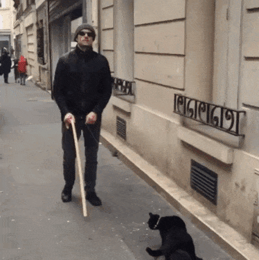 Cat on a leash leading a blind man... who gets hit by a car because the cat led him there.