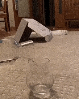 Oh you are pouring water hooman in cat gifs