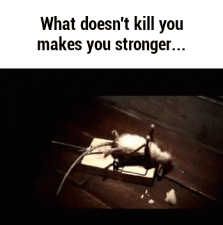 Image result for what doesn't kill you makes you stronger gif
