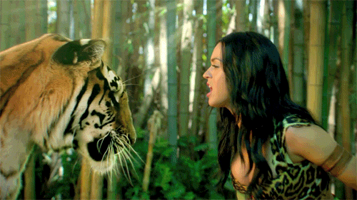 Image result for katy perry roar gif