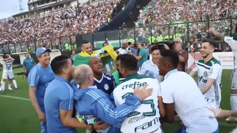 Ricardo Goulart é a cereja no bolo do Palmeiras para 2019