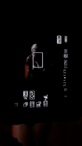 giphy.gif
