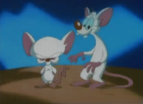 Image result for PINKY AND THE BRAIN  GIFS