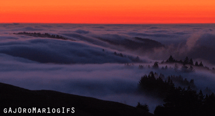 Foggy Morning GIFs - Find & Share on GIPHY