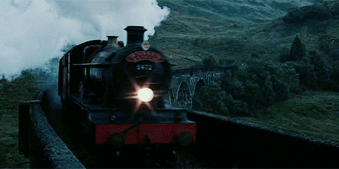 harry potter hermione hogwarts crucio express hogwart