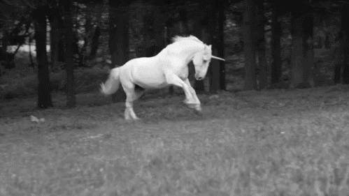 Unicorn Running GIFs - Find & Share on GIPHY