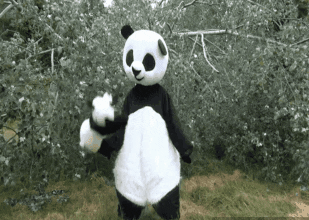 Baby Panda Dance GIF - Find & Share on GIPHY