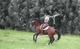 Man On Horse GIFs - Find & Share on GIPHY