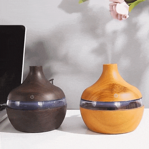 Aroma Diffuser & Humidifier ¦ Aromatherapy Essential Oil LED Humidifier