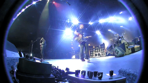 Jeff Ament GIF by Pearl Jam - Find & Share on GIPHY