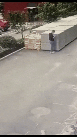giphy.gif