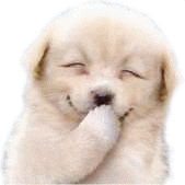 Image result for dog laughing gif