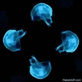Hologram GIF