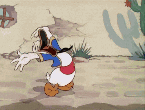 giphy.gif?response_id=591dae08c15993dbfbca3c5e