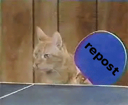pictures to gif reddit pictures to gif reddit
