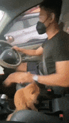 https://media.giphy.com/media/EH18slYTHYJwOJ1ZYK/giphy.gif