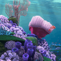 Aquarium GIF - Find & Share on GIPHY