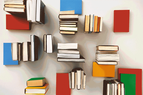 Giphy via #images image