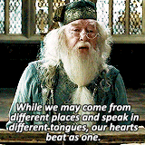 Albus Dumbledore GIF