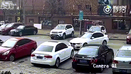 Car Mind GIF - Find & Share on GIPHY