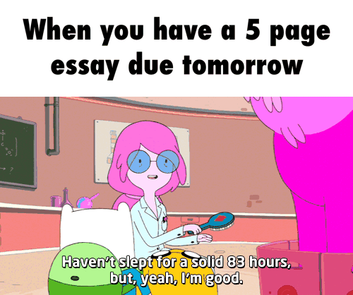 Essay due tomorrow reddit picture