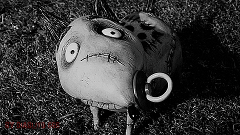 Resultat d'imatges de frankenweenie gif