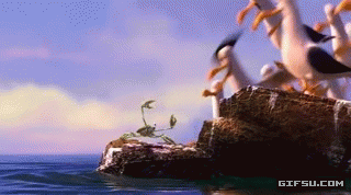 Seagull GIFs - Find & Share on GIPHY