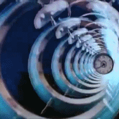Perfect Pussy GIFs - Find & Share on GIPHY Perfect Pussy GIFs - Find & Share on GIPHY