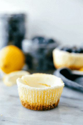 Chelsea Cornbread Gif Find Share On Giphy