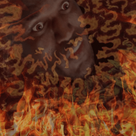 giphy.gif