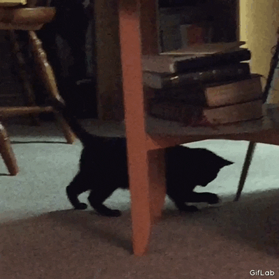 Ice Math GIF - Find & Share on GIPHY