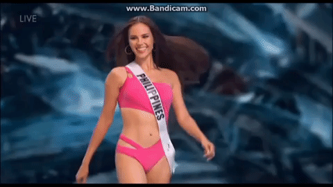 giphy.gif