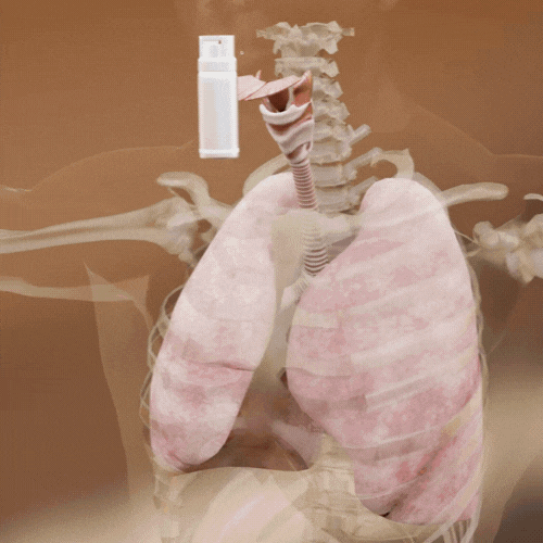 Inhalation in Action