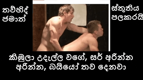 giphy.gif