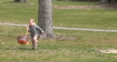 Hunt GIF Find &amp; Share on GIPHY