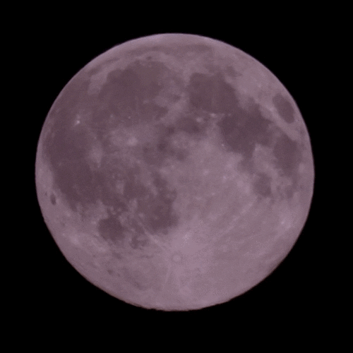 Night Moon GIF Find & Share on GIPHY