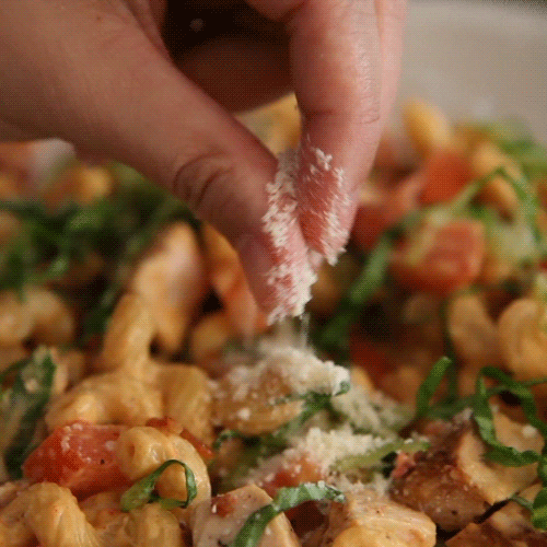 Cheese GIF Find & Share on GIPHY