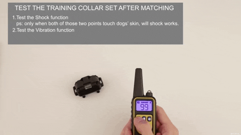 smart pet dog training collar with remote