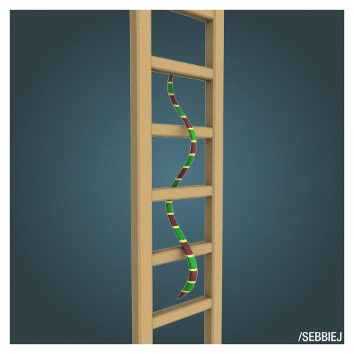Ladder Gif Cartoon