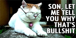 advice bullshit cat glasses