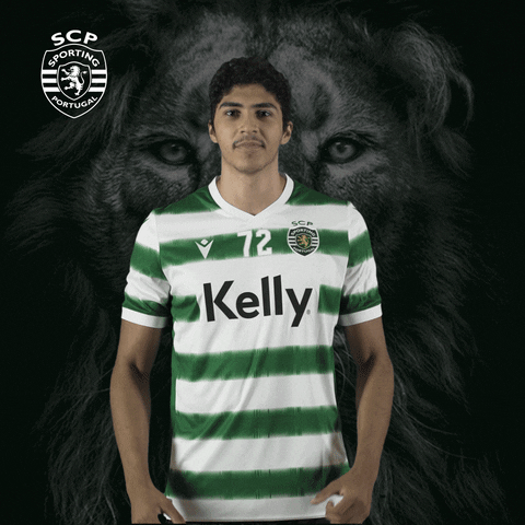 Andebol GIF by Sporting CP