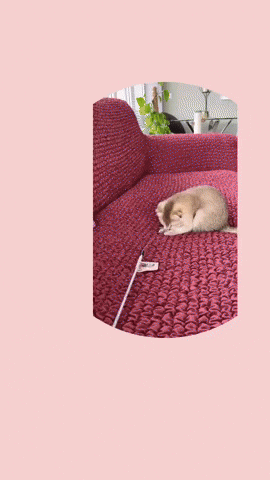 Gif