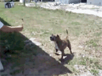 source: imgur.com