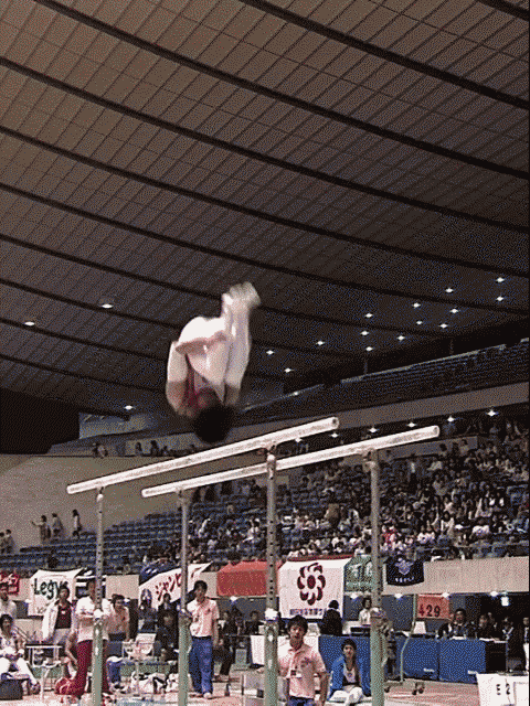 giphy.gif